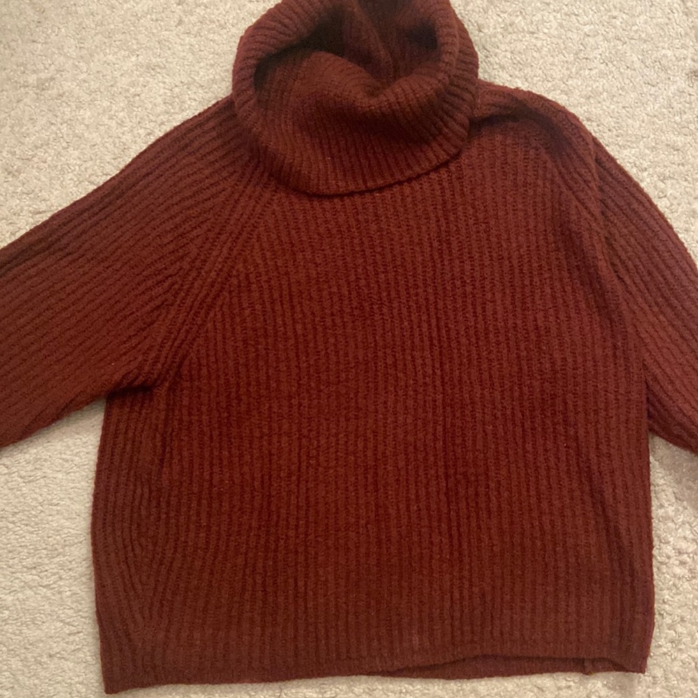 Cozy Turtleneck Sweater
